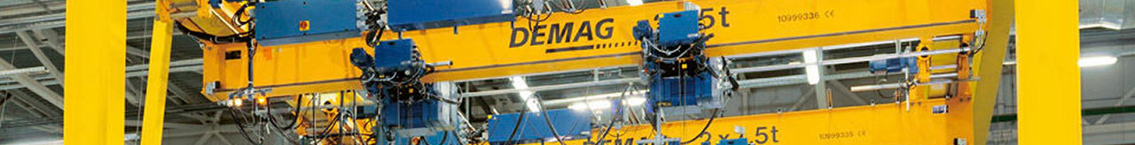 EKKE Single Girder Demag Crane with Box Sections