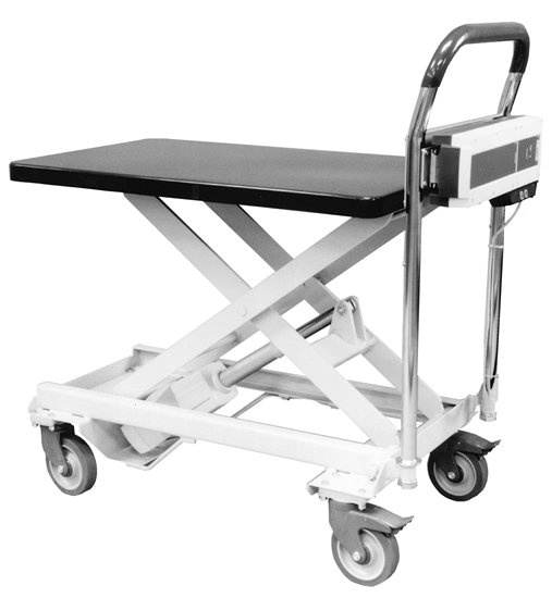 Southworth Powered Dandy PLM-250 Lift Table, Capacity 500 lbs
